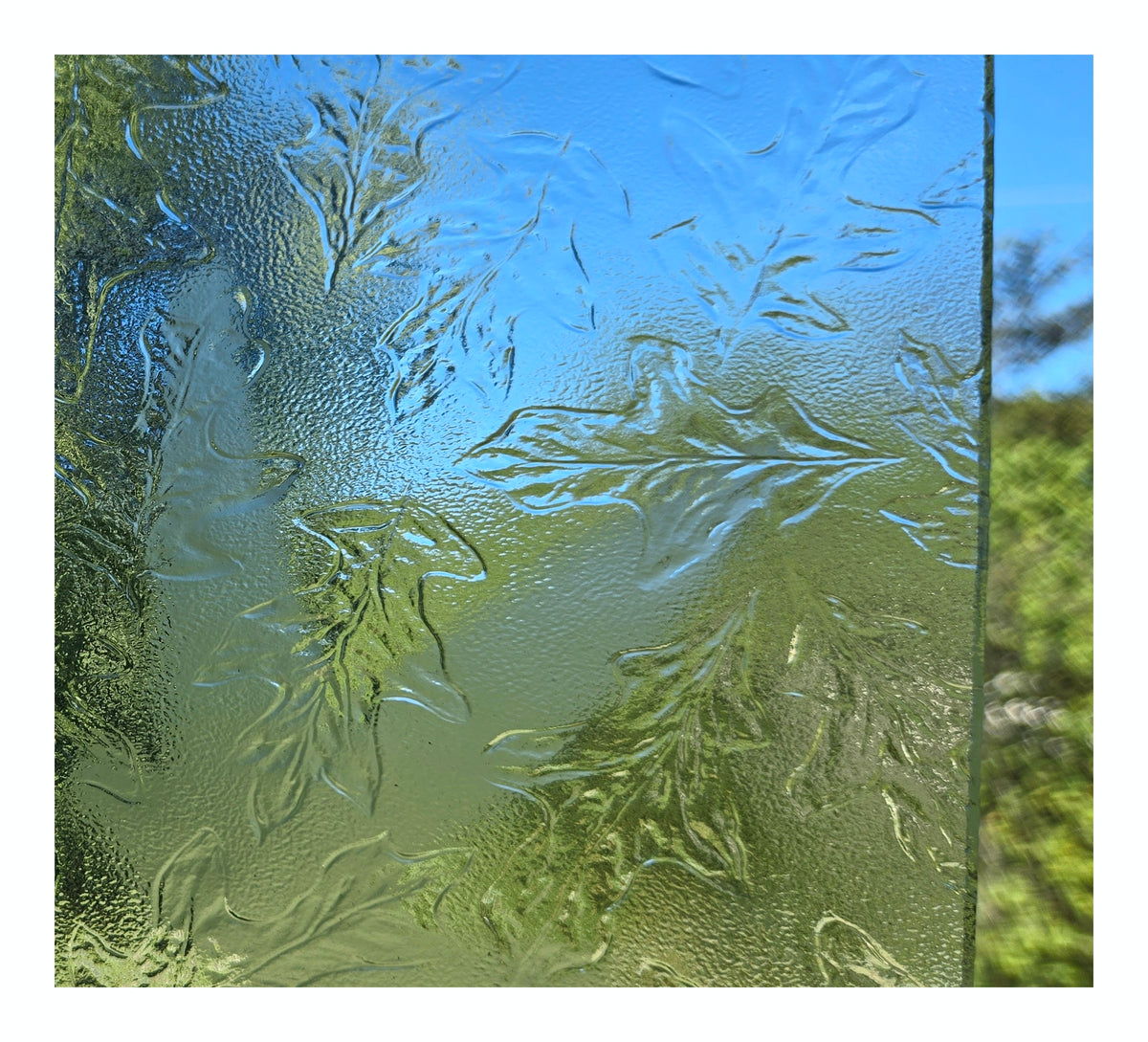 Glass Pack. Oak Leaf Textured Clear Architectural Stained Glass Sheets by Pilkington, Pattern.