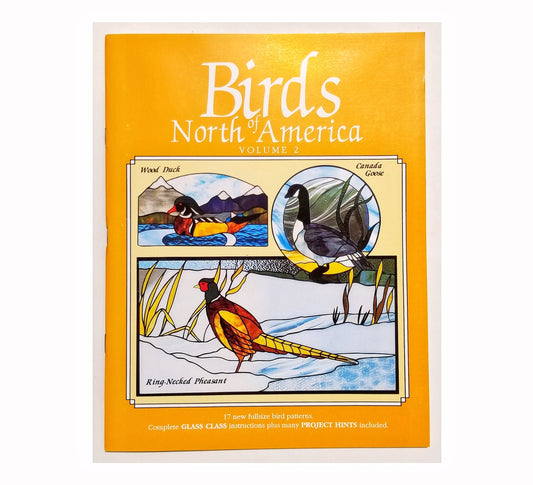Stained Glass Design Book. Bird Patterns. Nice variety of line drawings for hanging window panels. Birds of North America Vol. Two.