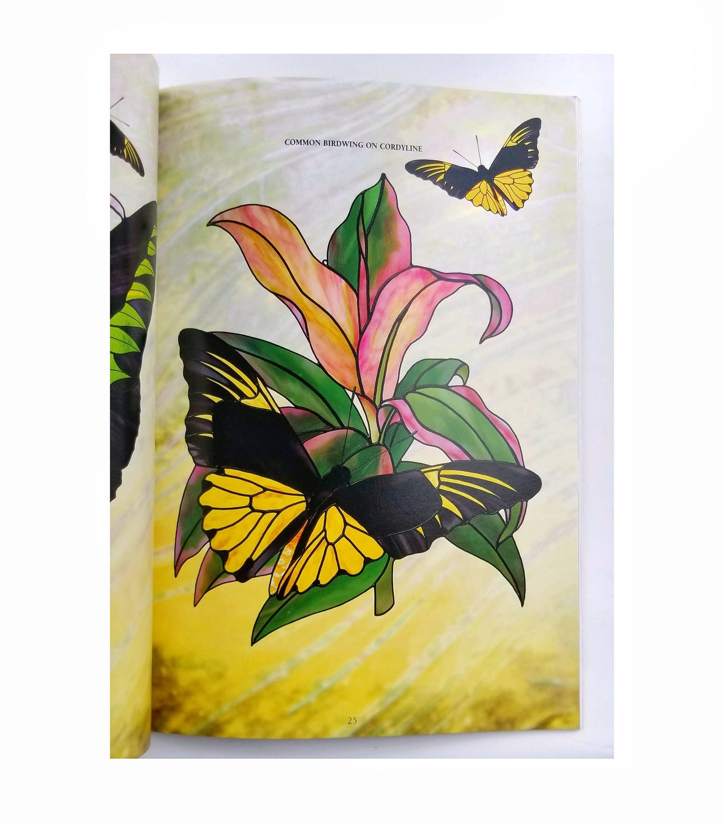 Butterfly Pattern Design Book, Stained Glass Craft Projects with Beautiful Winged Ladies. Nice Color Photos. Jillian Sawyer author.