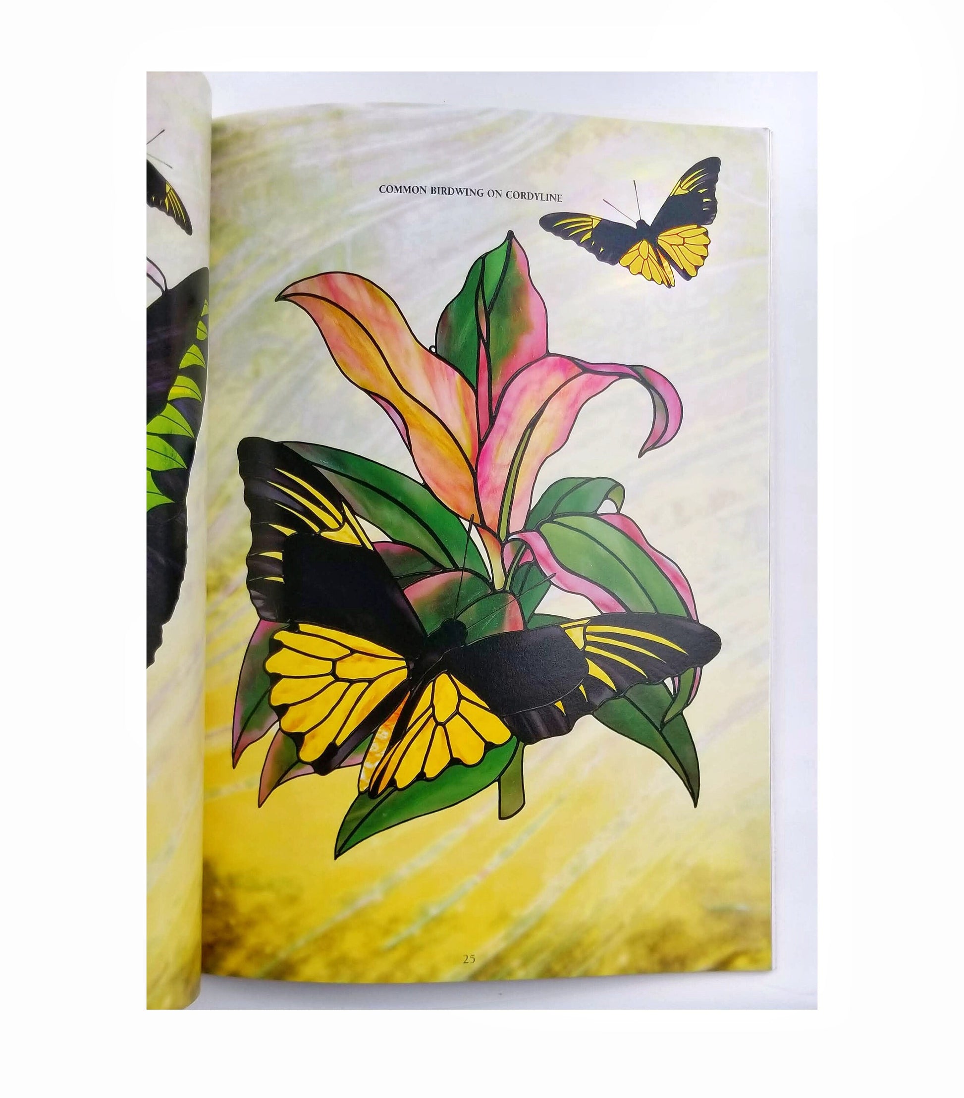 Butterfly Pattern Design Book, Stained Glass Craft Projects with Beautiful Winged Ladies. Nice Color Photos. Jillian Sawyer author.
