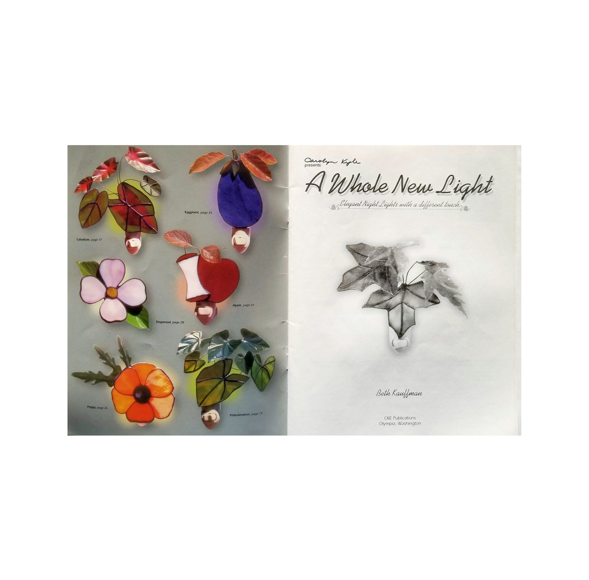 Stained Glass Books for Night Lights. Vintage in Fair condition. Small Cute Patterns for Suncatchers. Nice use of Glass Colors & Techniques.