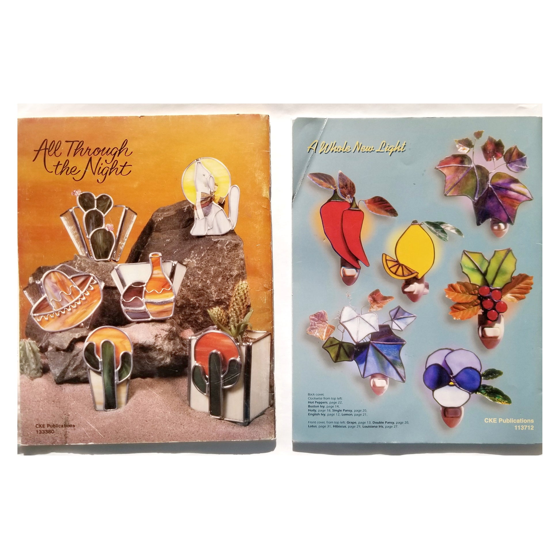 Stained Glass Books for Night Lights. Vintage in Fair condition. Small Cute Patterns for Suncatchers. Nice use of Glass Colors & Techniques.